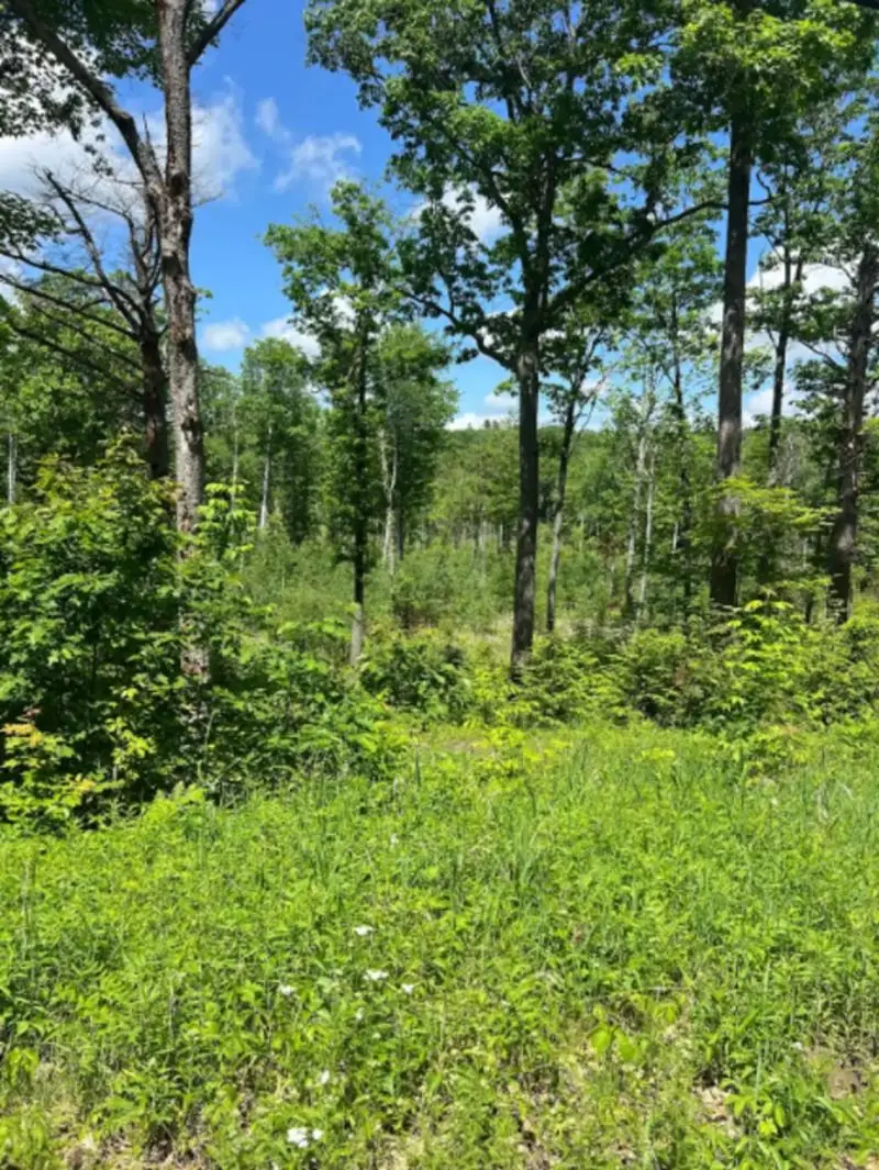 00 Corno Road and Canaan Street #All 8 Lots, Canaan, NH 03741 - #1