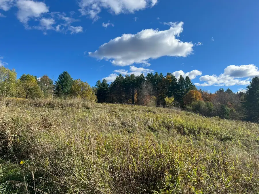 0 Old Farm Road #C, Stowe, VT 05672 - #3