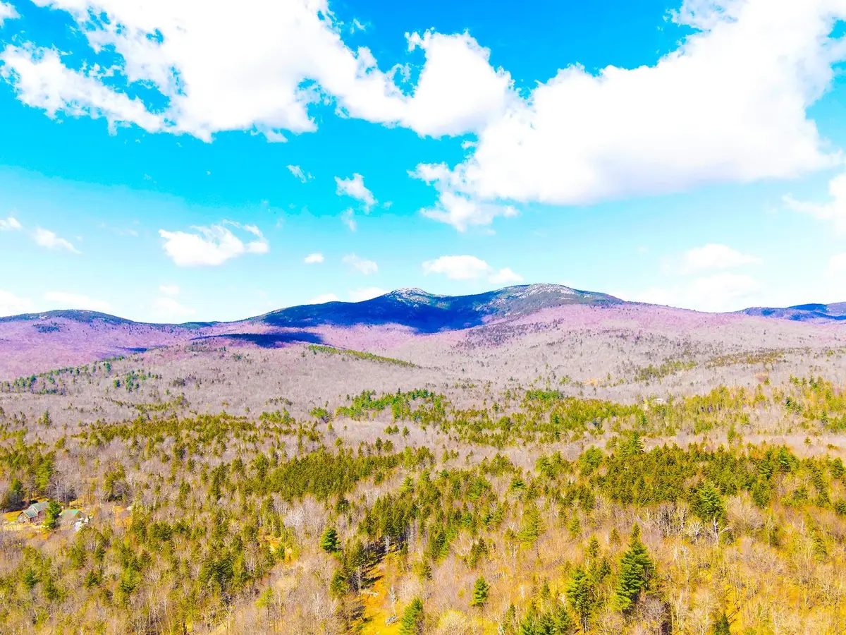 TM 407 L 35 Shem Valley Road, Alexandria, NH 03222 - #1