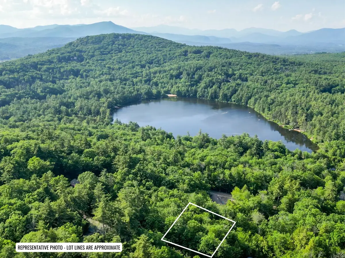 16 Bristenstock Drive, Madison, NH 03849 - #1