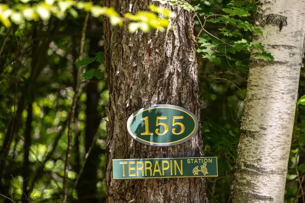 155 Pratt Bridge Road, Jamaica, VT 05343