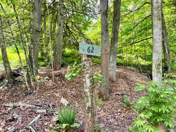 62 Foundry Road, Tunbridge, VT 05077