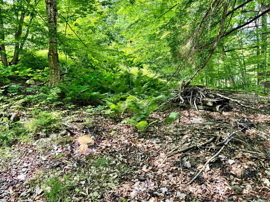 62 Foundry Road, Tunbridge, VT 05077 - #2