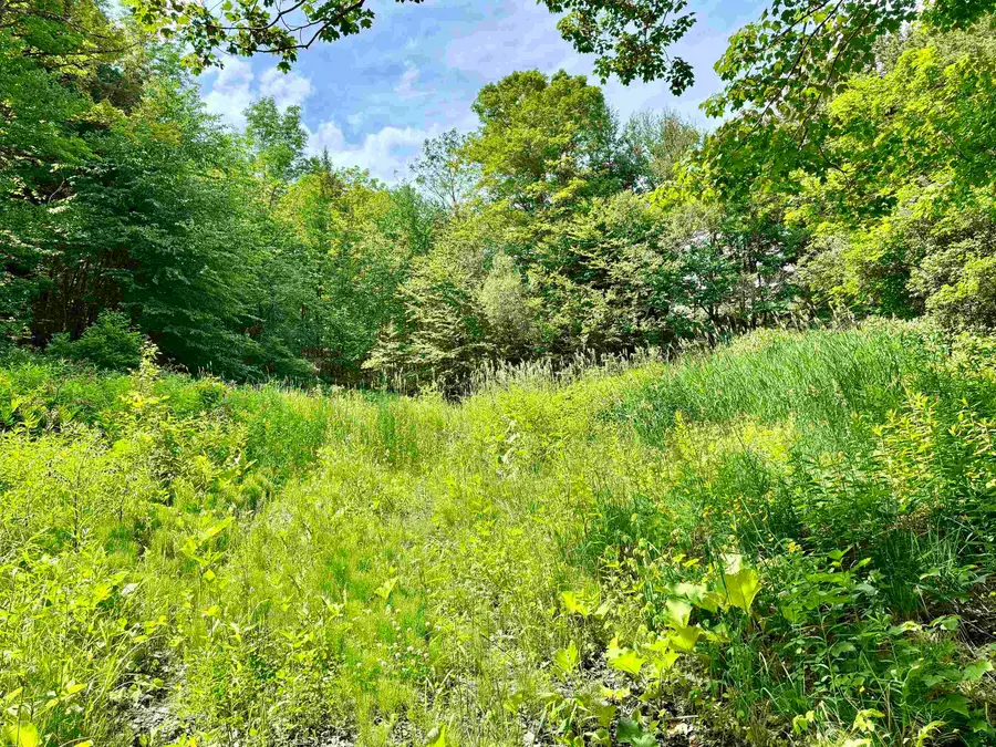 62 Foundry Road, Tunbridge, VT 05077 - #3