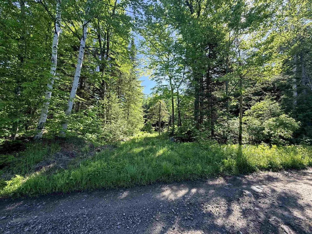 00 Tug Mountain Road, Lunenburg, VT 05906 - #1