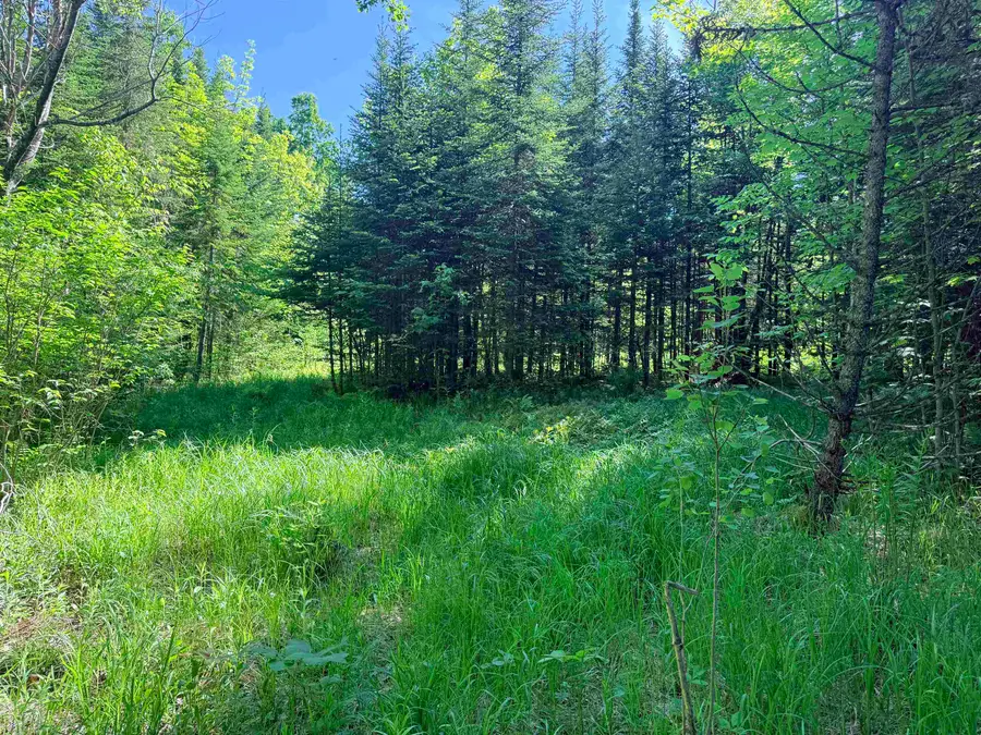 00 Tug Mountain Road, Lunenburg, VT 05906 - #2