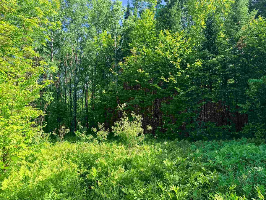 00 Tug Mountain Road, Lunenburg, VT 05906 - #3
