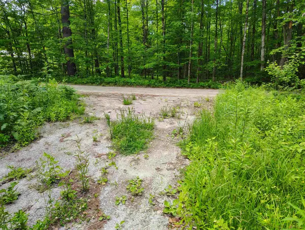 12 Frescoln Road, Wentworth, NH 03282