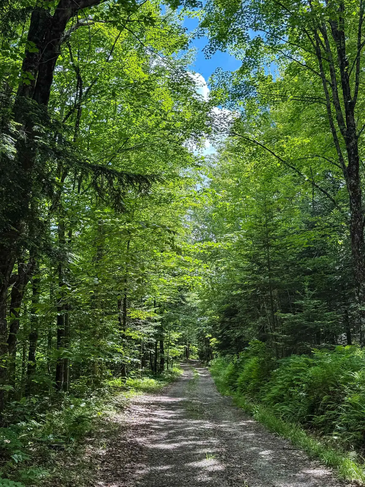 273 Guyette Road, Lowell, VT 05847 - #1