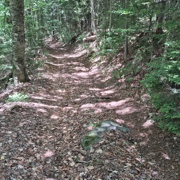 Lot 15 +37 acre Spruce Lane, Eden, VT 05652