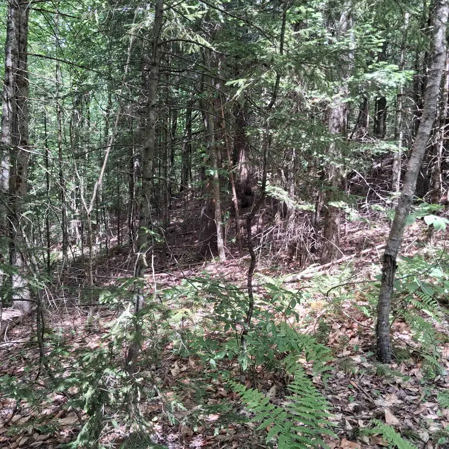Lot 15 +37 acre Spruce Lane, Eden, VT 05652 - #3
