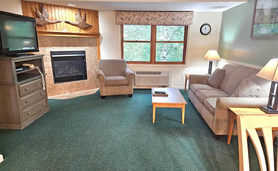 164 Deer Park Drive #177D, North Woodstock, NH 03262 - #3