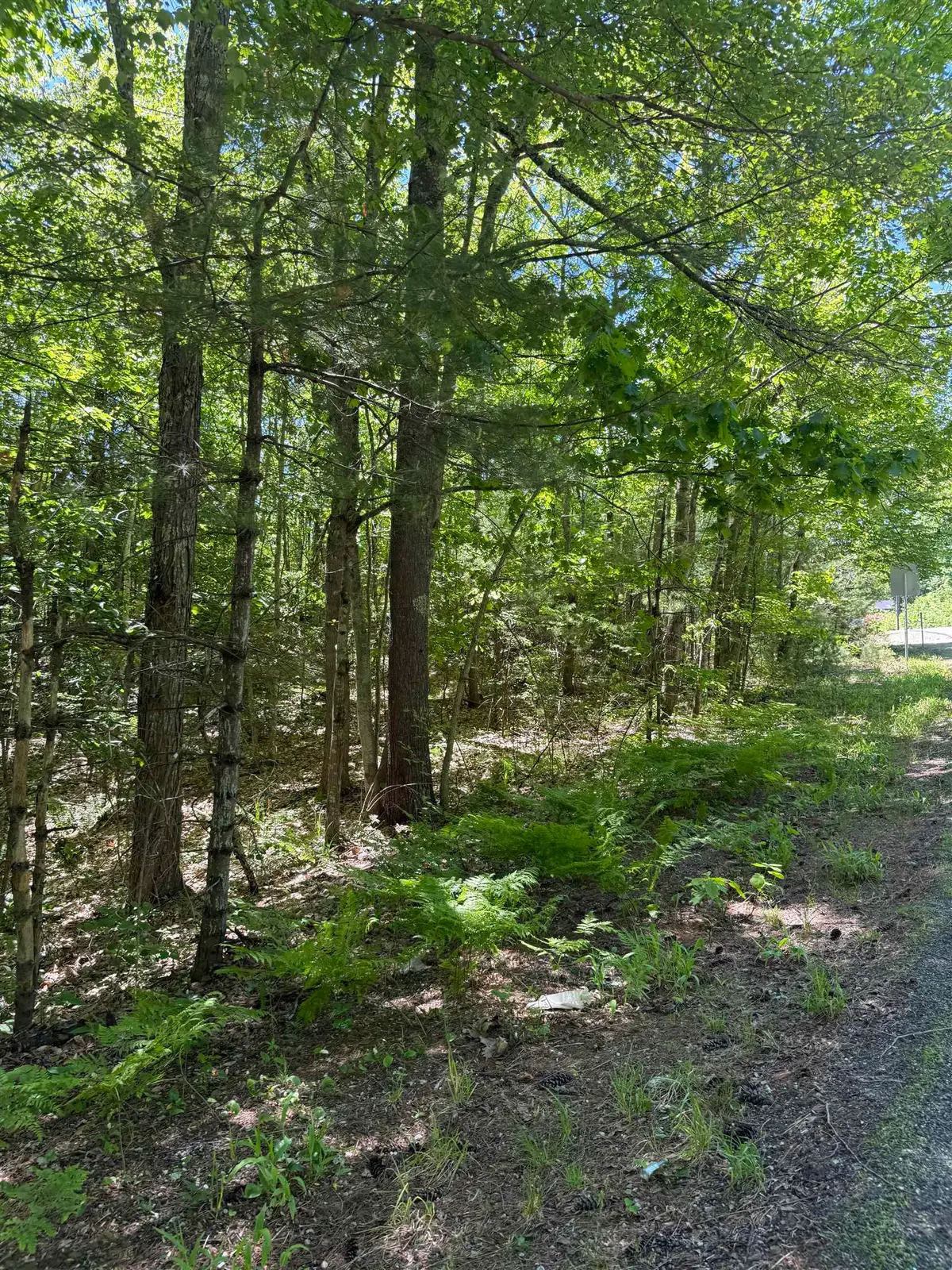 Lot 33, 34, 35 Washington Street, Barrington, NH 03825 - #1