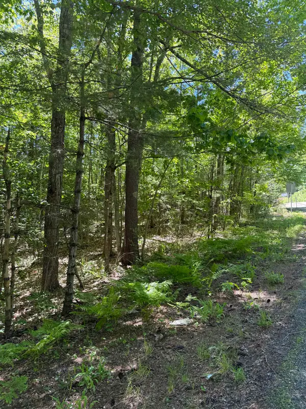 Lot 33, 34, 35 Washington Street, Barrington, NH 03825