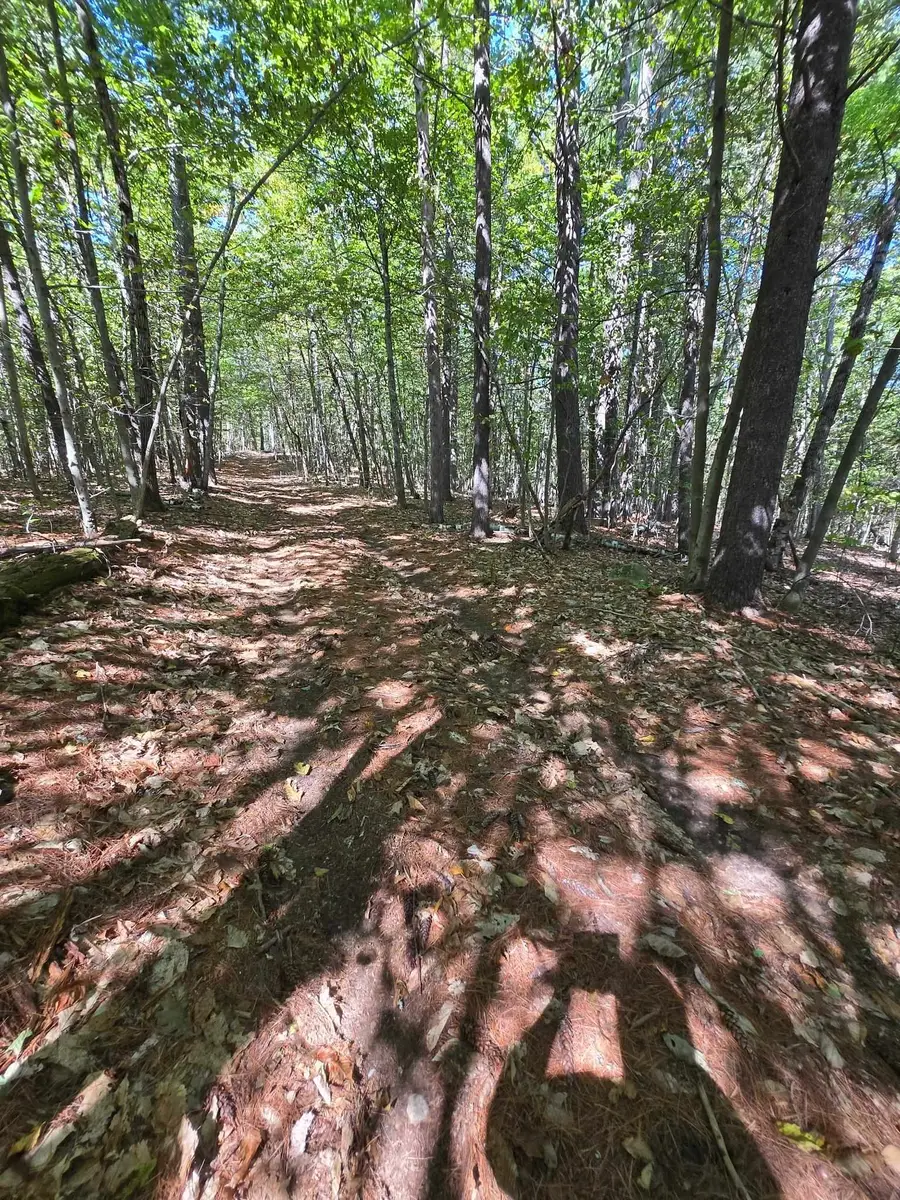 0 Grove Road, New Durham, NH 03855 - #2