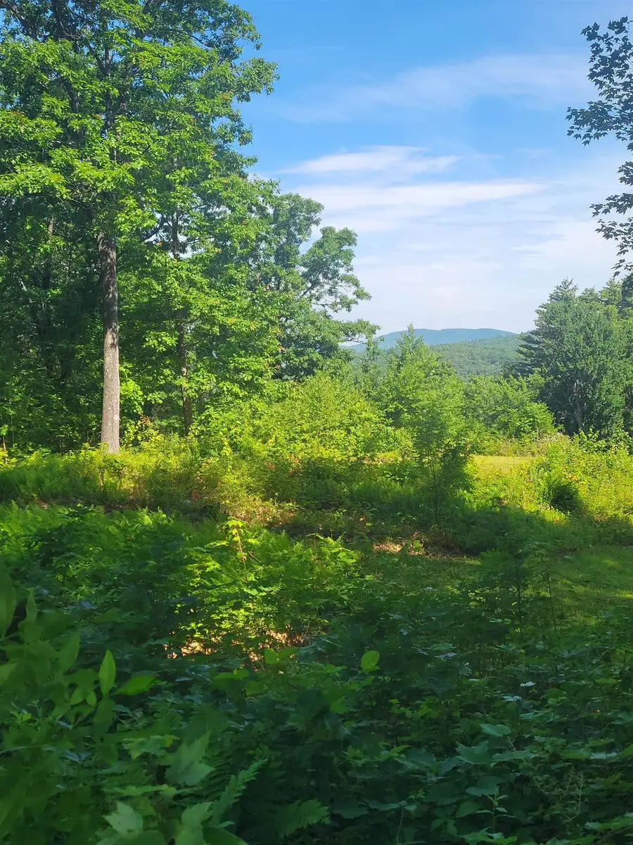 72 Old Northfield Road, Hinsdale, NH 03451 - #3