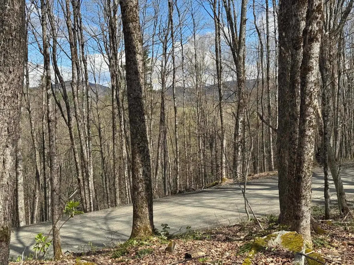 316 Last Road, Cabot, VT 05647 - #1