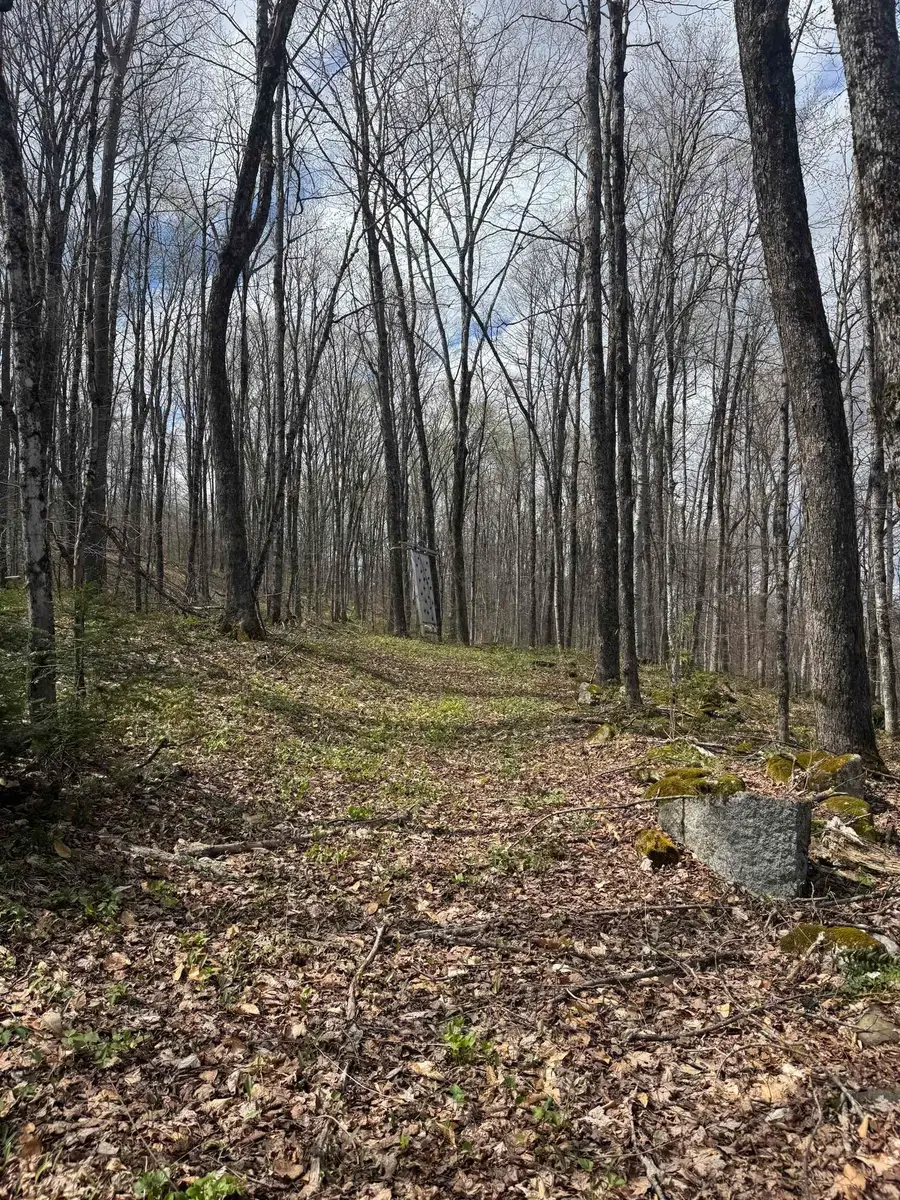 316 Last Road, Cabot, VT 05647 - #3