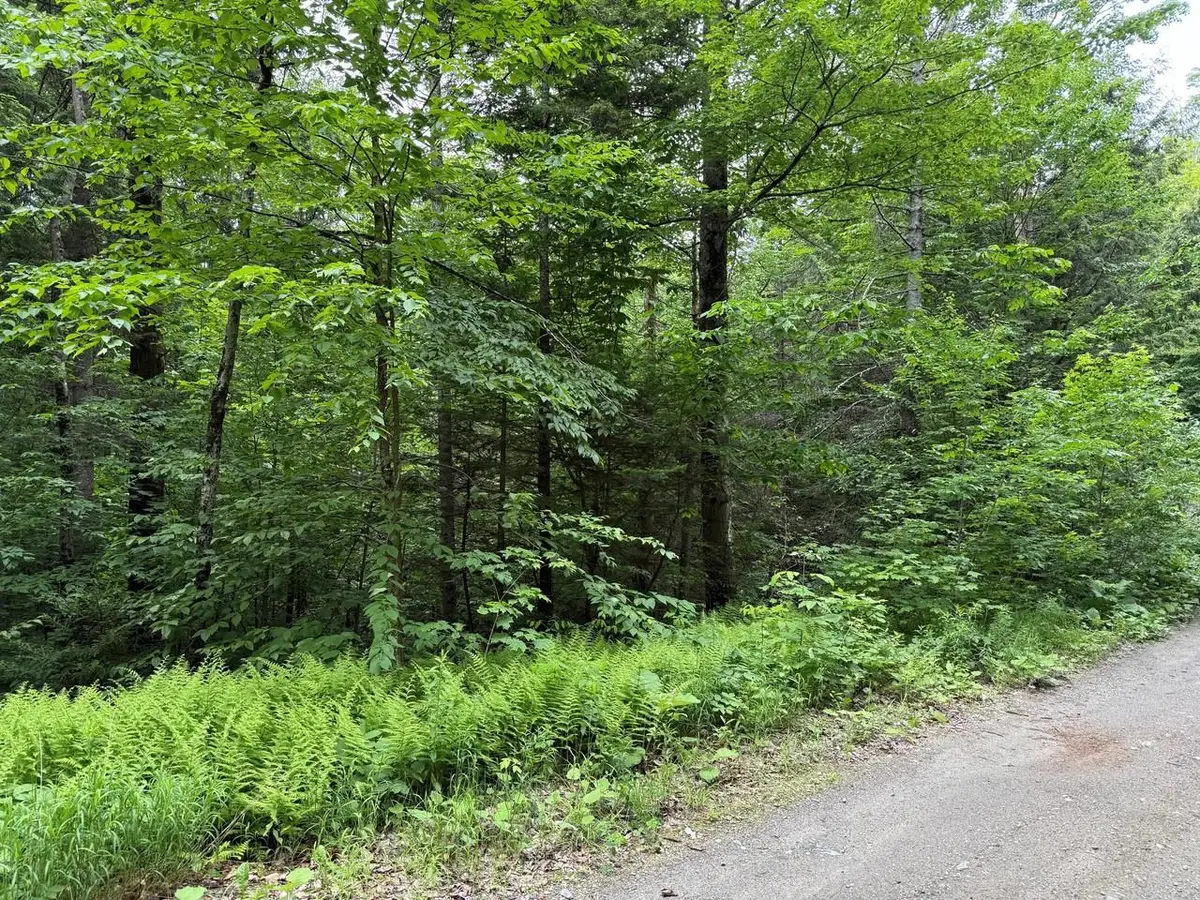 219 Woodbury Mountain Road, Calais, VT 05648 - #1
