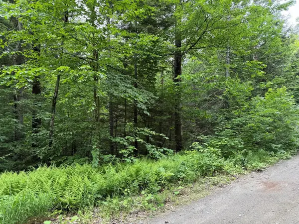 219 Woodbury Mountain Road, Calais, VT 05648