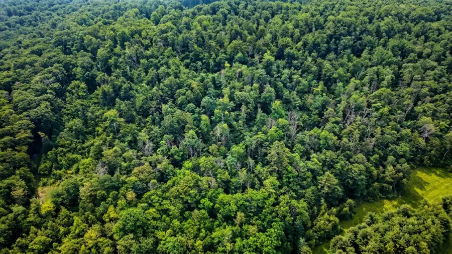 00 Hurricane Road #Backland, Westmoreland, NH 03467 - #2