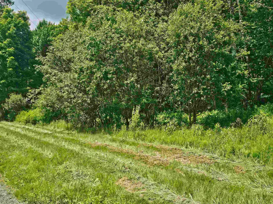 24 Lower Highlands Road, Dover, VT 05356 - #2