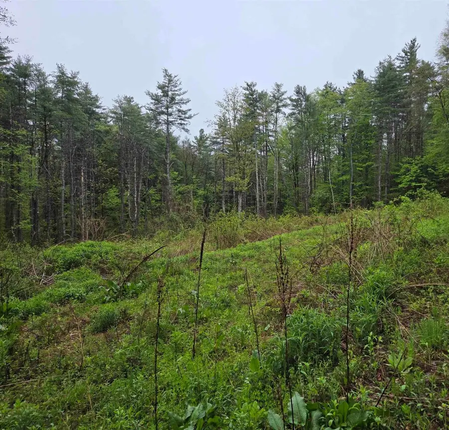 63 West Hill, Putney, VT 05346 - #2