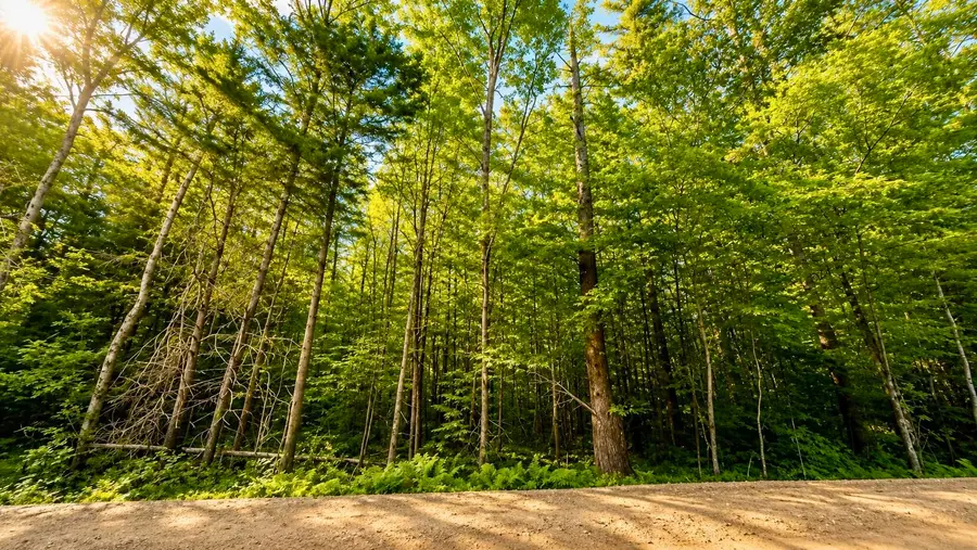 Lot 260-15 2nd NH Turnpike, New Boston, NH 03070 - #3