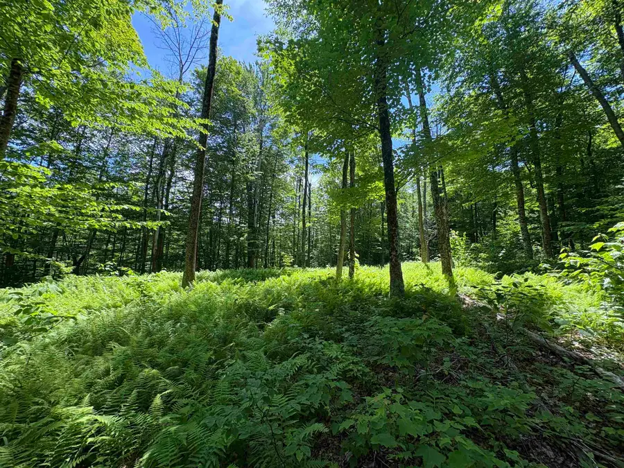 7601 VT Route 105 E, Jay, VT 05859 - #3