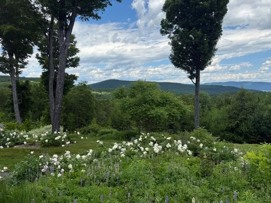 816 Black Bear Road, Jamaica, VT 05343 - #3