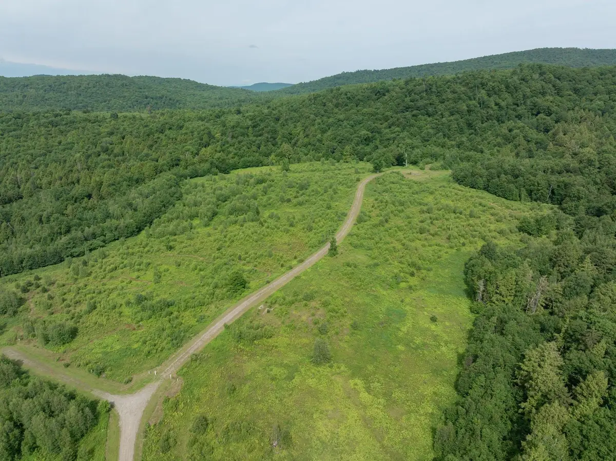 00 Birch Tree Lane #Lot 1, Cambridge, VT 05464 - #1