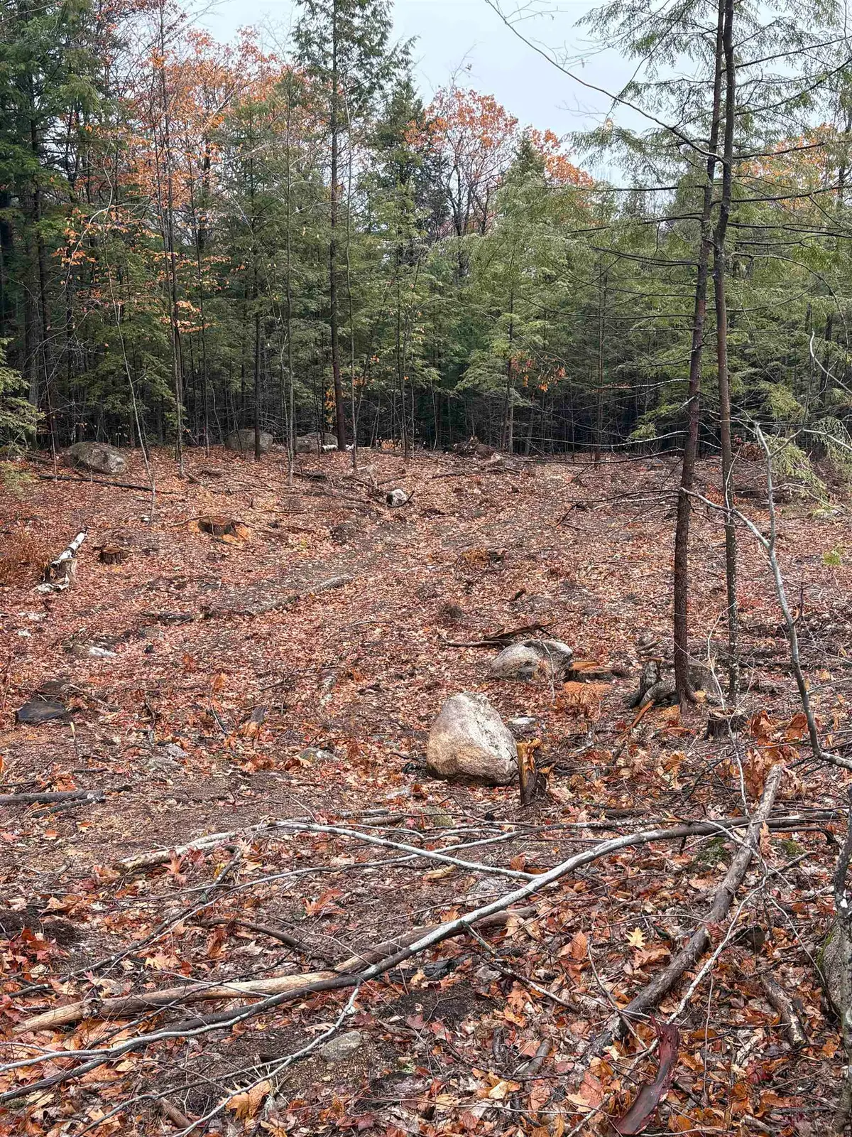7 Sugarloaf Drive #8, Ossipee, NH 03814 - #1
