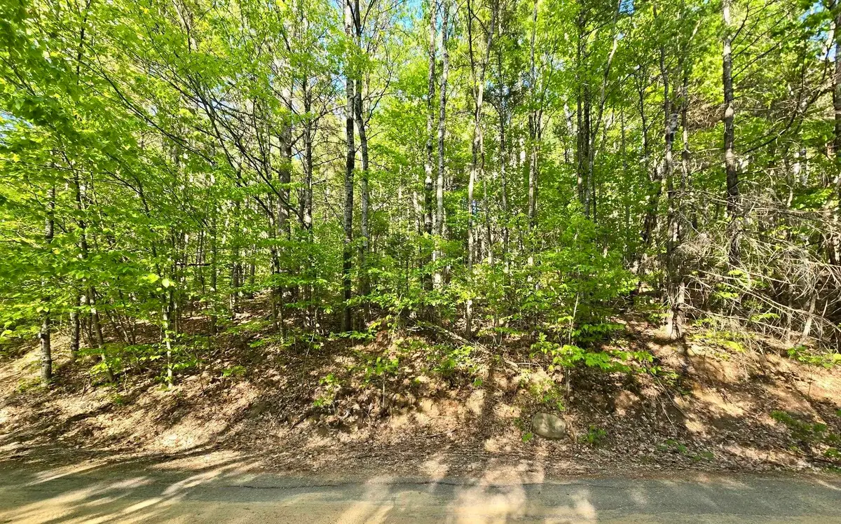 00 Isaac Fox Drive, Campton, NH 03223 - #1