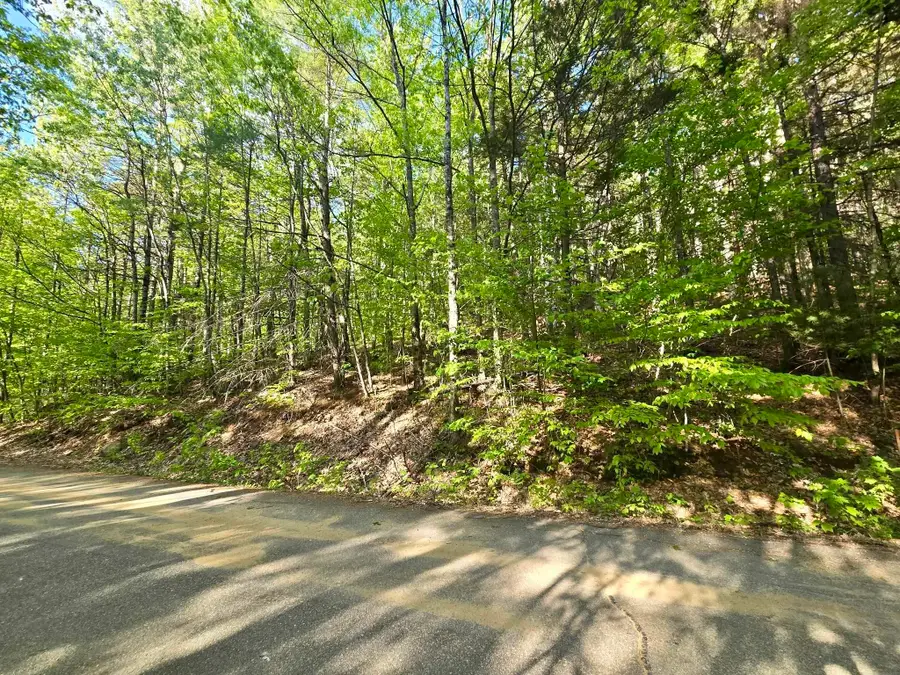 00 Isaac Fox Drive, Campton, NH 03223 - #3