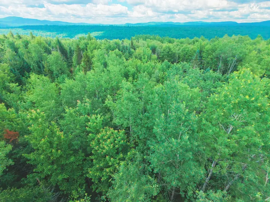 -- Oregon Road, Concord, VT 05824 - #2