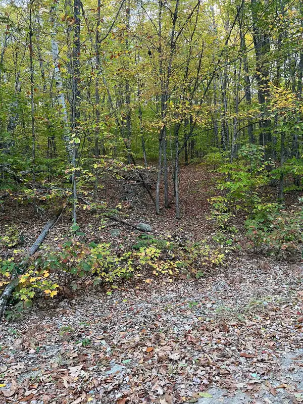 10-4-1 David Thompson Drive, Campton, NH 03223