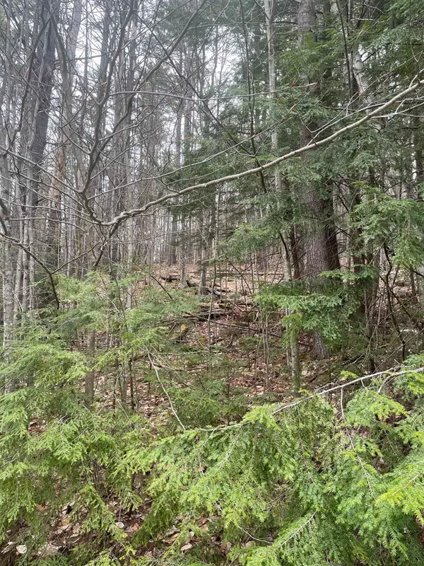 10-4-2 David Thompson Drive, Campton, NH 03223