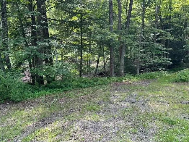 Gird Lot Road, Weathersfield, VT 05151 - #1