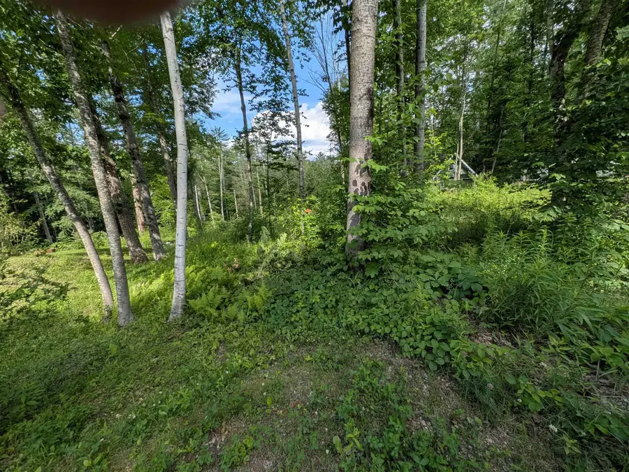 Autumn Road, Hillsborough, NH 03244 - #2