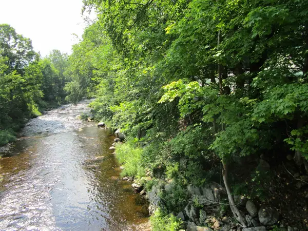 1950 N. Main Street, Londonderry, VT 05148