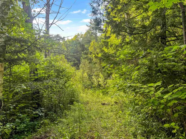 91 Dam Road, Chittenden, VT 05701