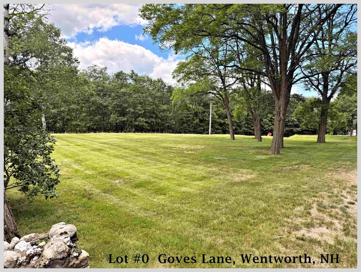 00 Goves Lane, Wentworth, NH 03282 - #1