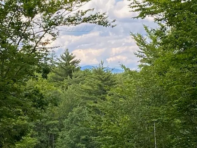 132 Newell Road, Newbury, NH 03255 - #2