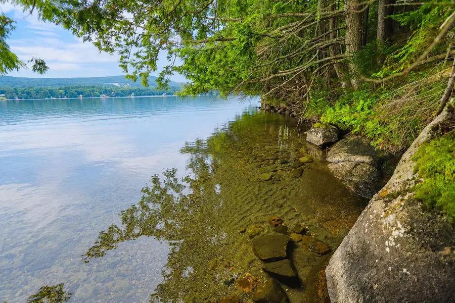 1220 Camp Winape Road, Morgan, VT 05829 - #3