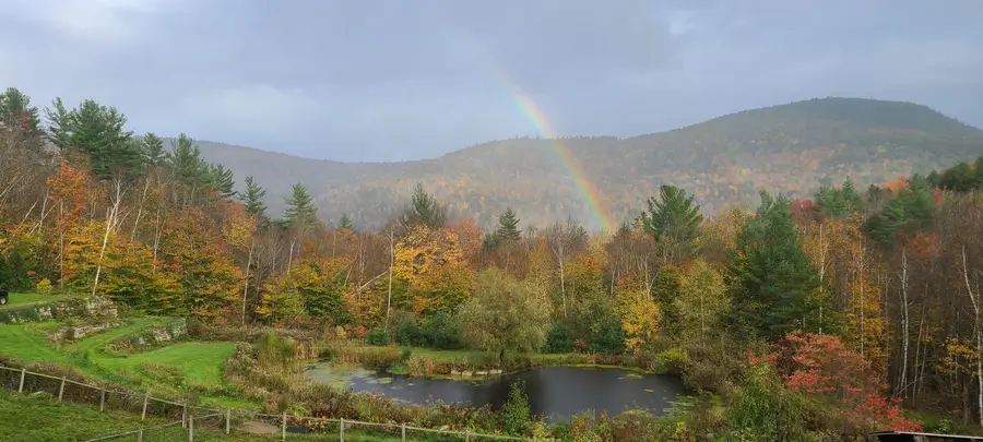 251 Pratt Bridge Road, Jamaica, VT 05343 - #3