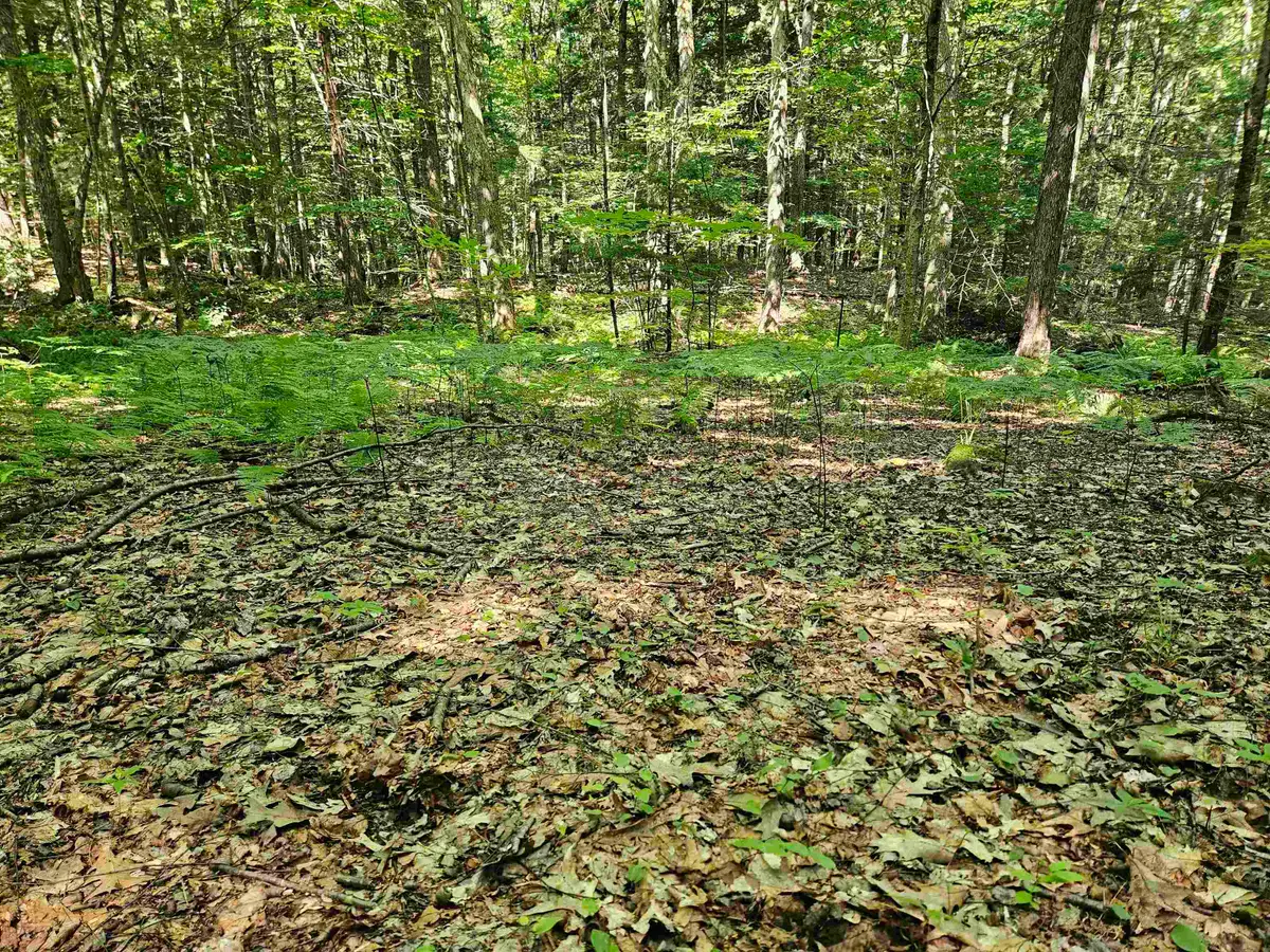 234 Old Cheshire Turnpike, Walpole, NH 03608 - #1