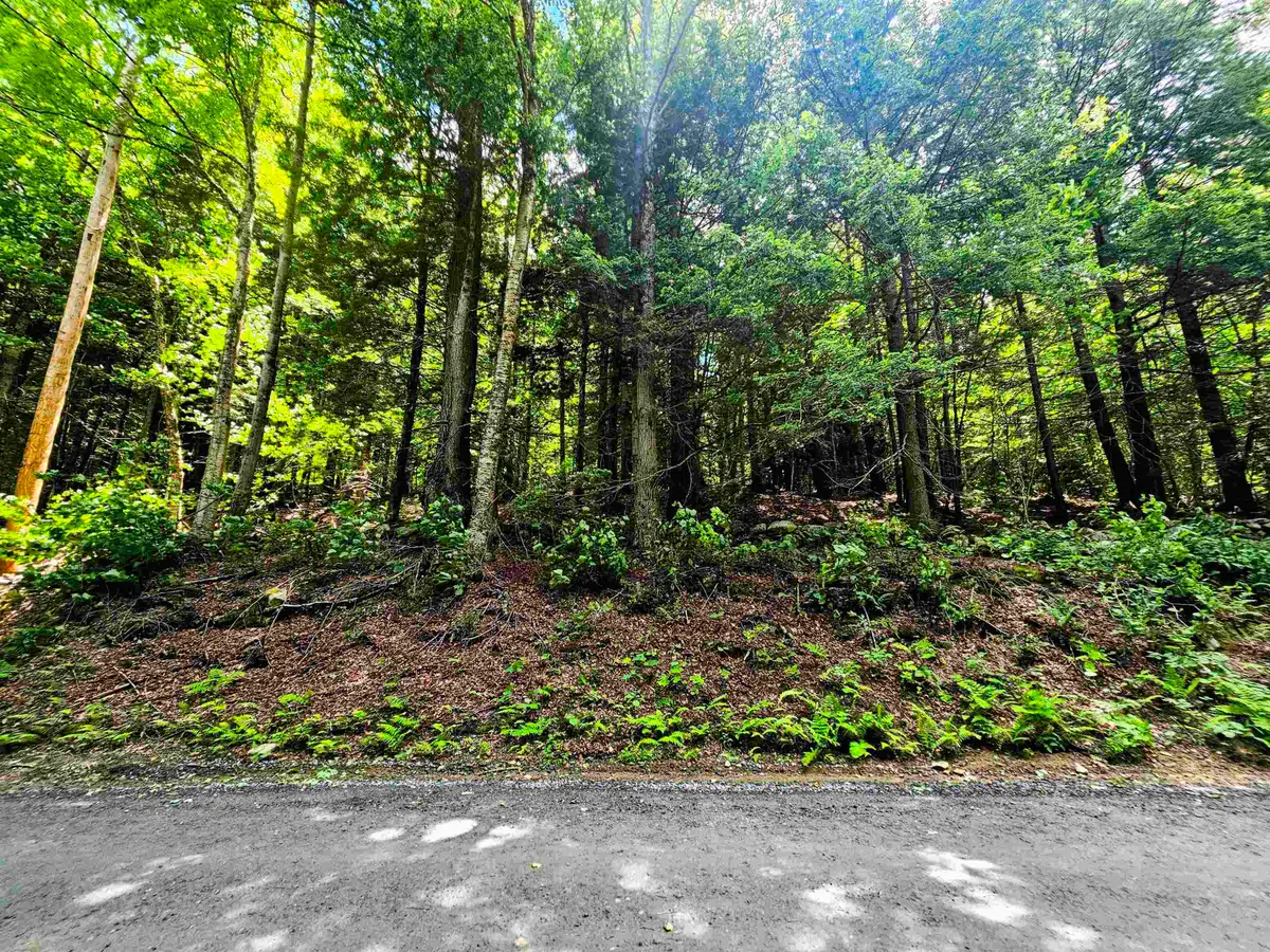 Smead Road, Wardsboro, VT 05355 - #1