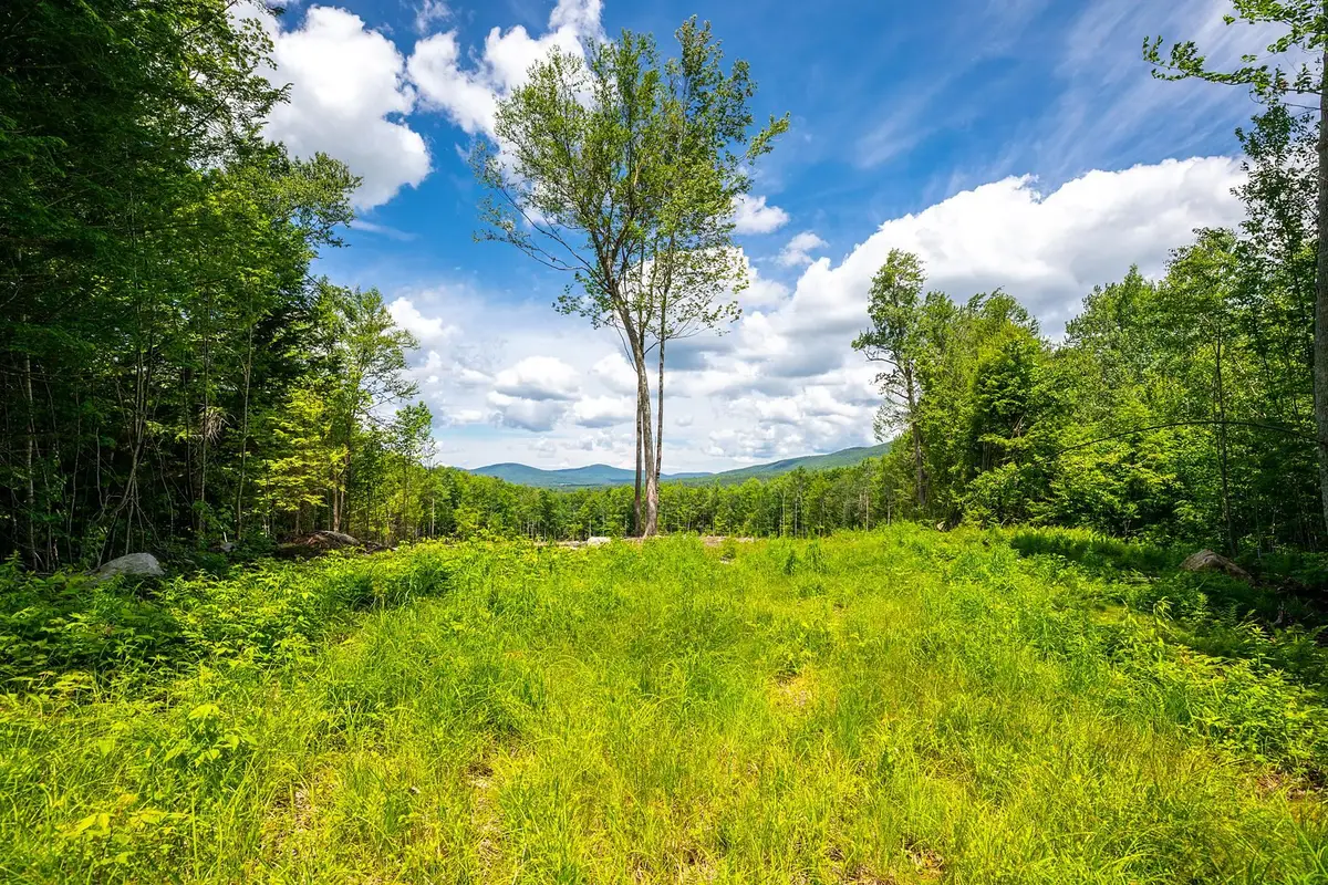 00 Little Pond Road, Andover, VT 05143 - #1