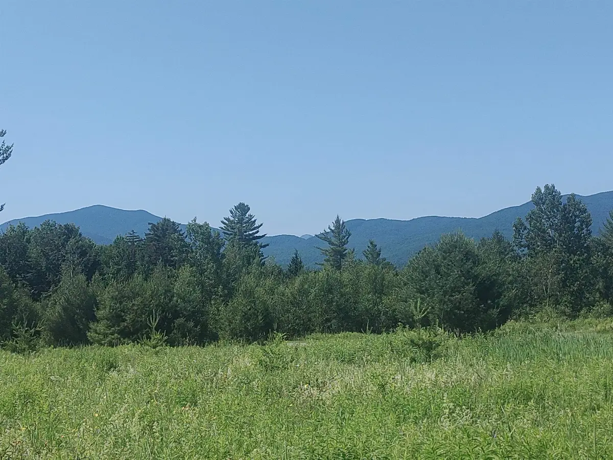 0 Plot Road #3, Johnson, VT 05656 - #1