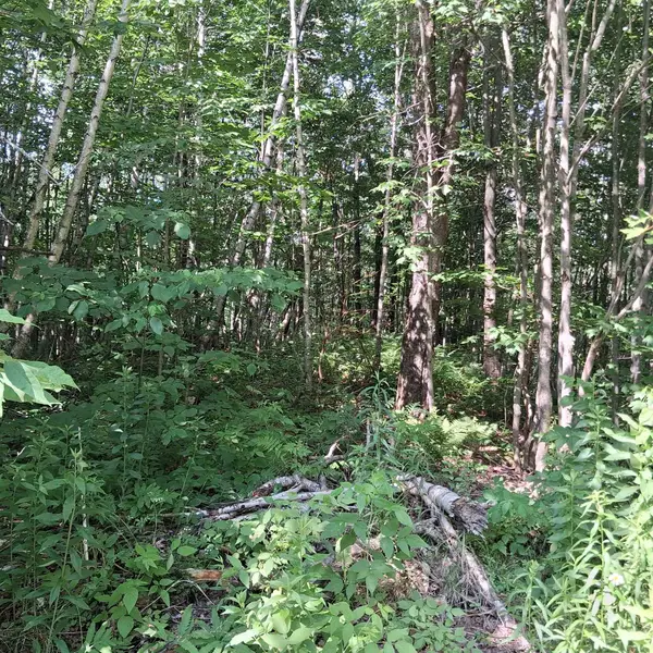 Lot 2 Ballground Road, Westfield, VT 05874